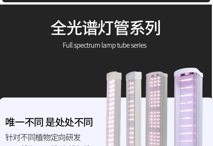 详情页--改_06.jpg