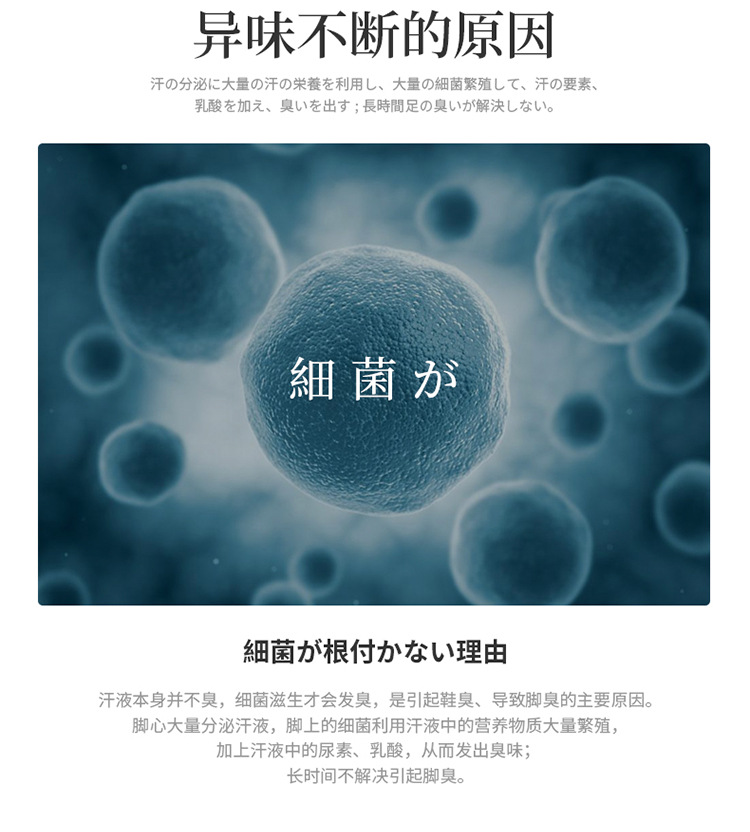 详情_05.jpg