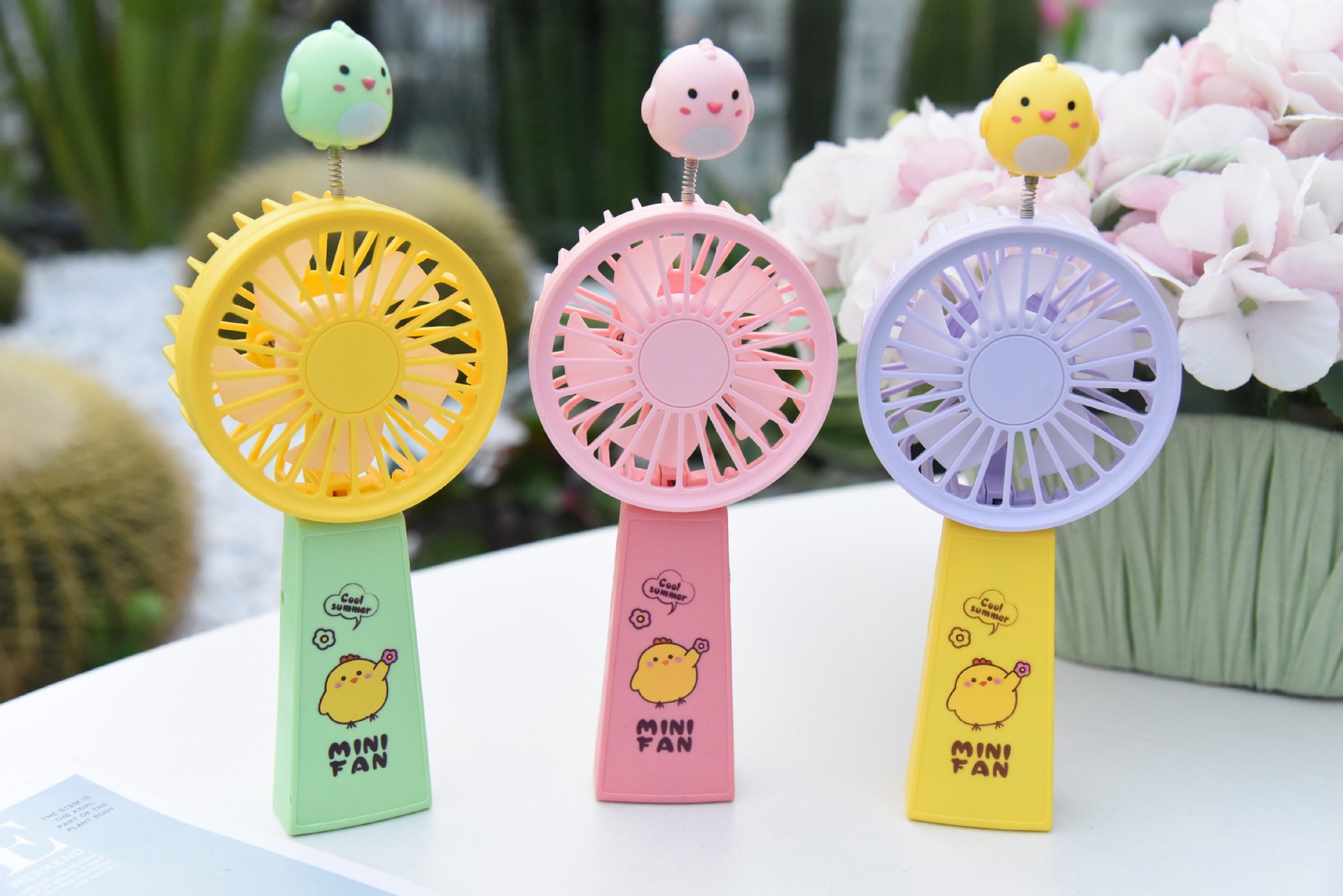 conew_dsc_2735