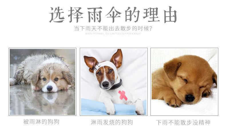 7dc29bd59e488a3ad33ebd37ed4e9cb2.png