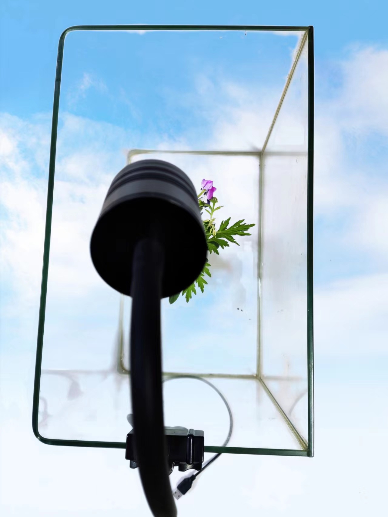 微信图片_20220517210139