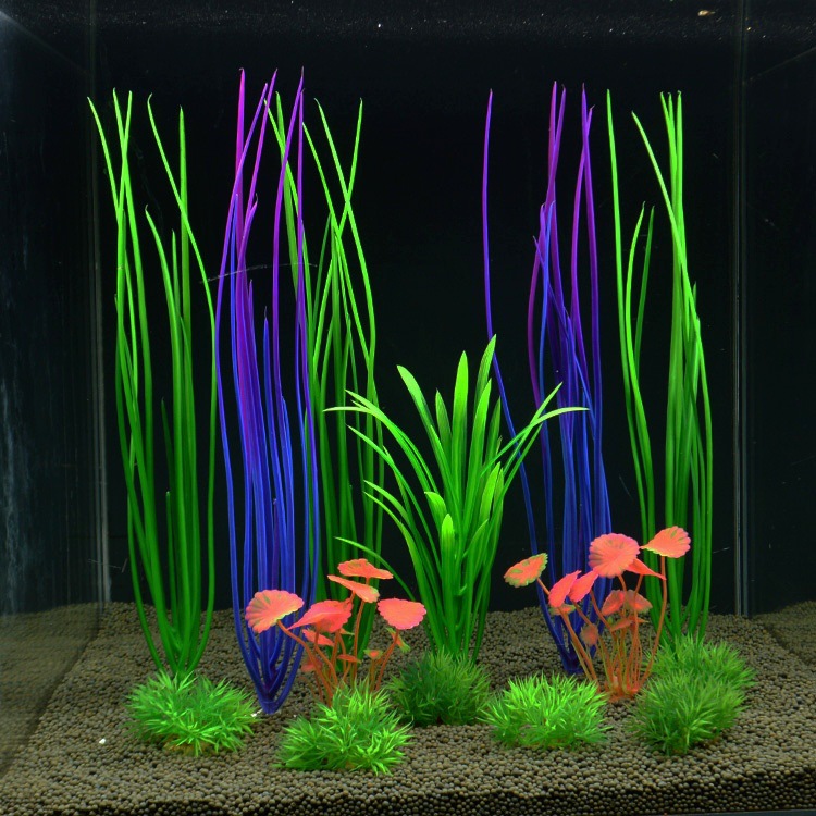 O1CN01J3TYVW1KVu64mjB1N_!!1035