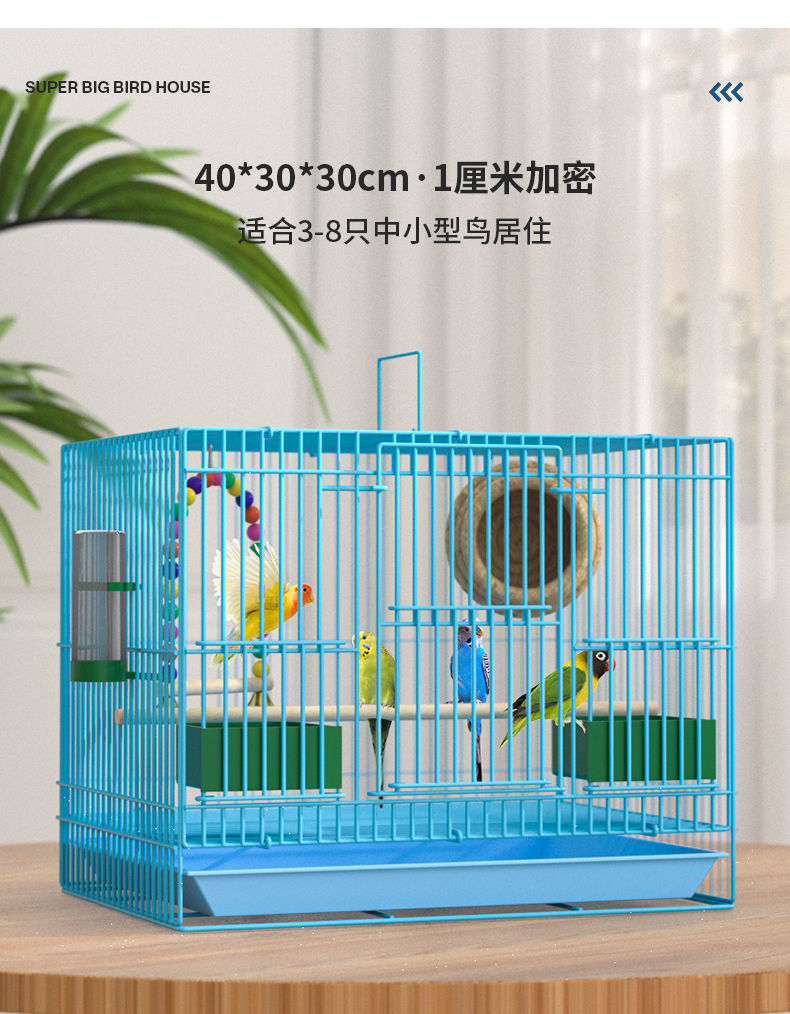 bc7e4124-80d6-4c35-bf44-418a98c2e11d.jpe