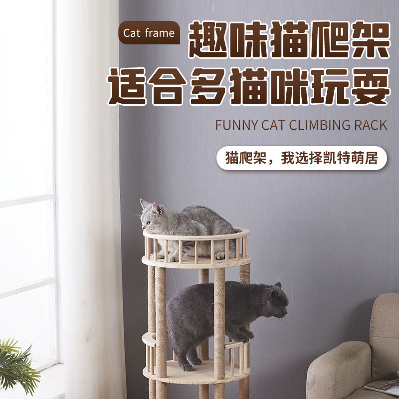 99e8ec4f-aea5-4e48-bf6b-84ed9fd686cf.jpe