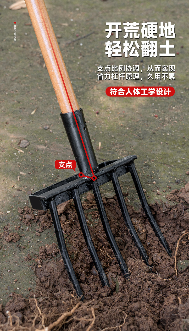 详情_03.jpg