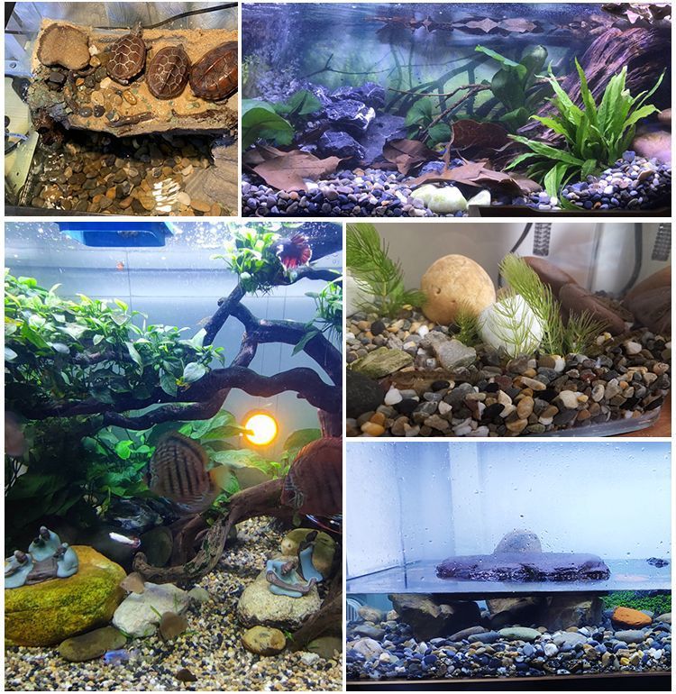 1e6d623f-3e19-4c48-9f42-3221d5ab6652.jpe