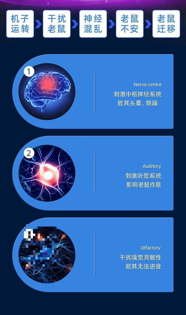 1fc84e0d-b64b-4042-8d88-d0367ca746ae.jpe