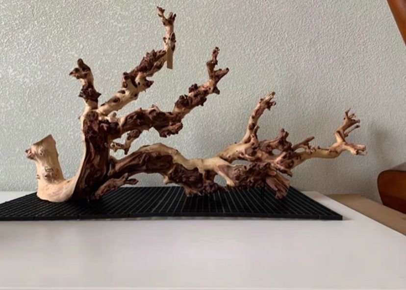 d2d77fb5-278b-4b83-891b-f01d3618c21f.jpe