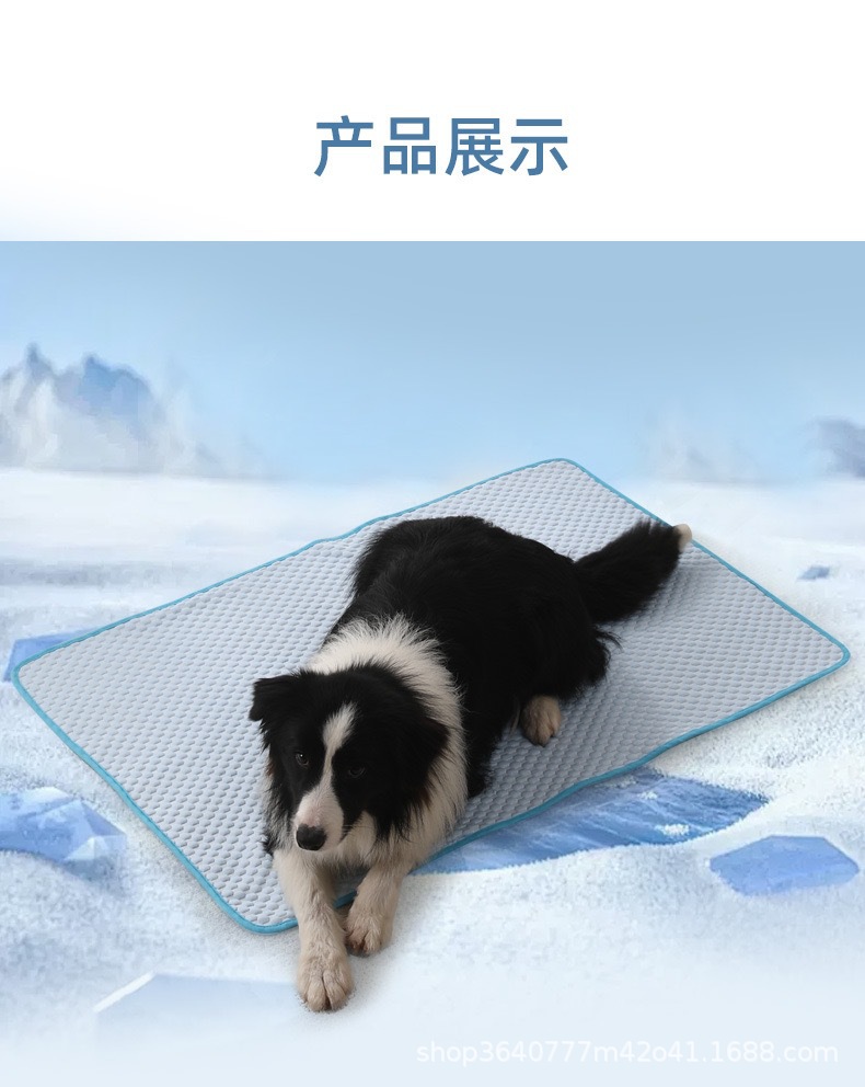 微信图片_20250709091224.jpg