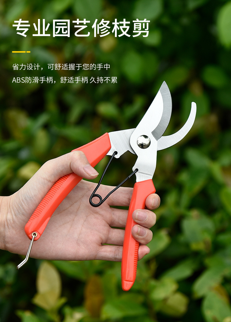 6b9b78a5-b393-4ef1-973f-dd7663cd1f0c.jpe