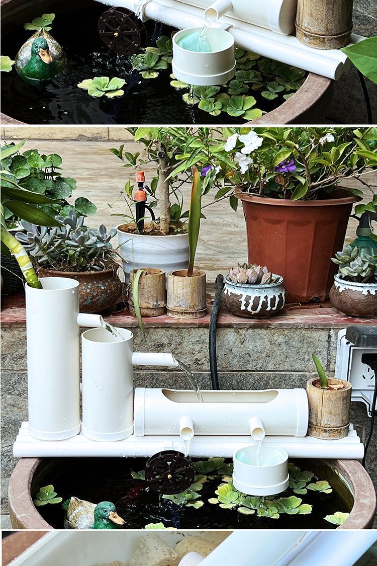 384a9cb0-e4c9-41d1-a5f4-6e9a981a649f.jpe