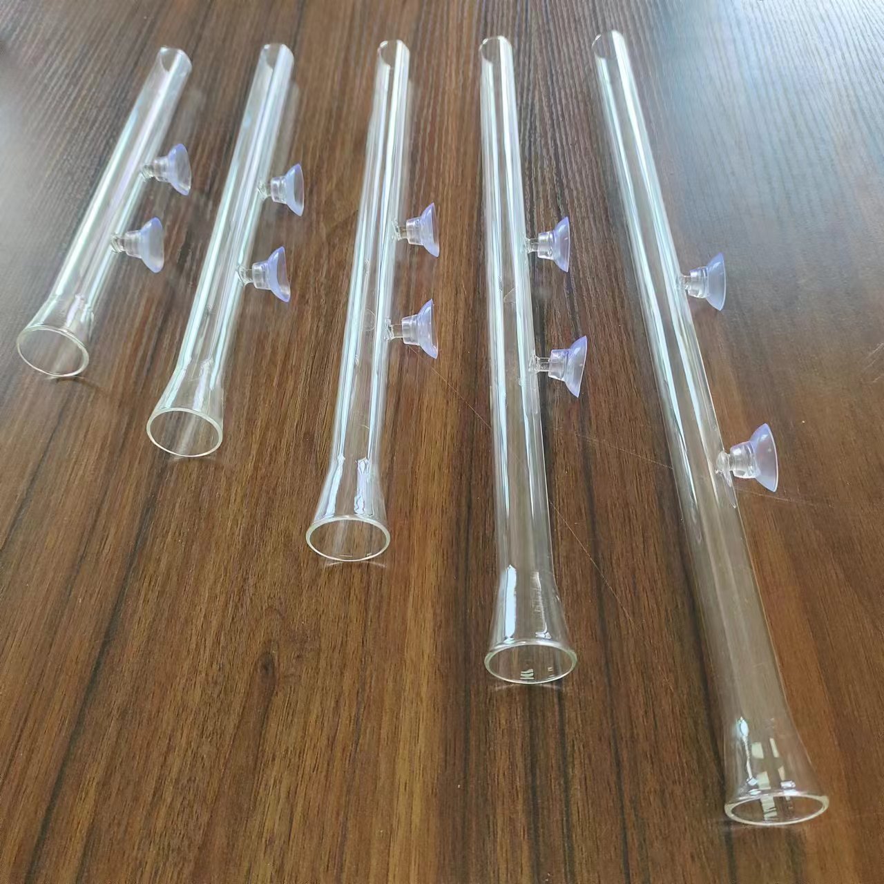 水晶虾喂食管 (16).jpg