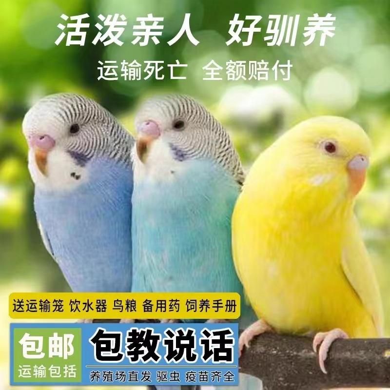 0f2541be-1350-4e9d-8695-30280e019666.jpe