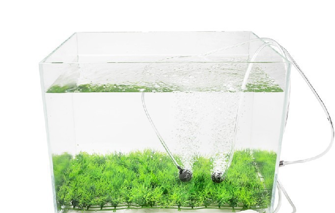 2346202951_1382599647