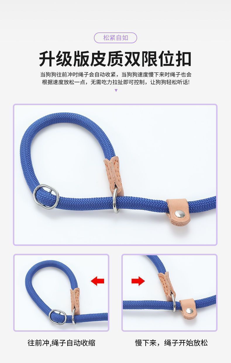 c77d3fab-65cb-4954-91f6-464bfc2a72b7.jpe