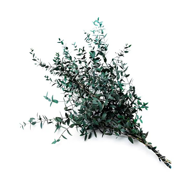 微信图片_20240720101115