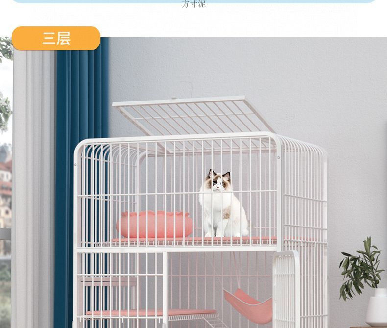 fe98e4f4-276a-420b-b012-7bc0136b3720.jpe