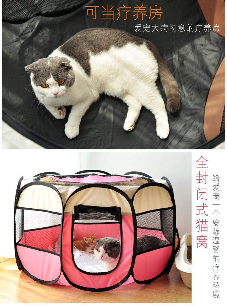 8c66e3f6-ee3a-49d6-8d6a-a6d8e560955c.jpe