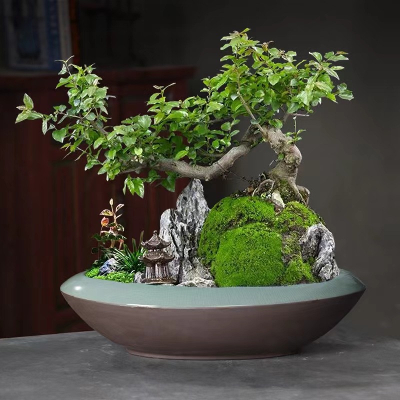 微信图片_20221109223302