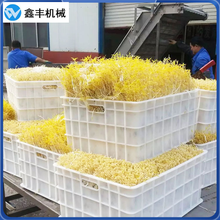 A鑫丰豆芽机 (32).jpg
