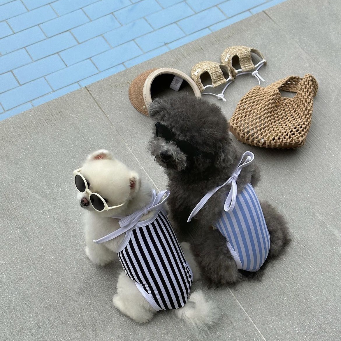 微信图片_20230530161721