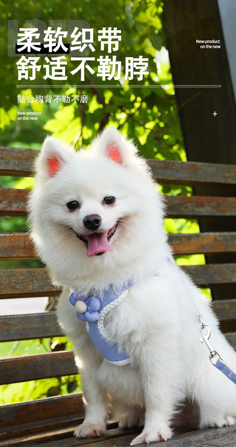 b9083fbe-0e2e-423f-9a74-66e4a68dcc4a.jpe