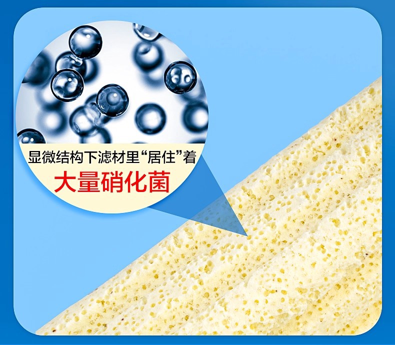 O1CN01RNMrac2N3St9hghH0_!!2129