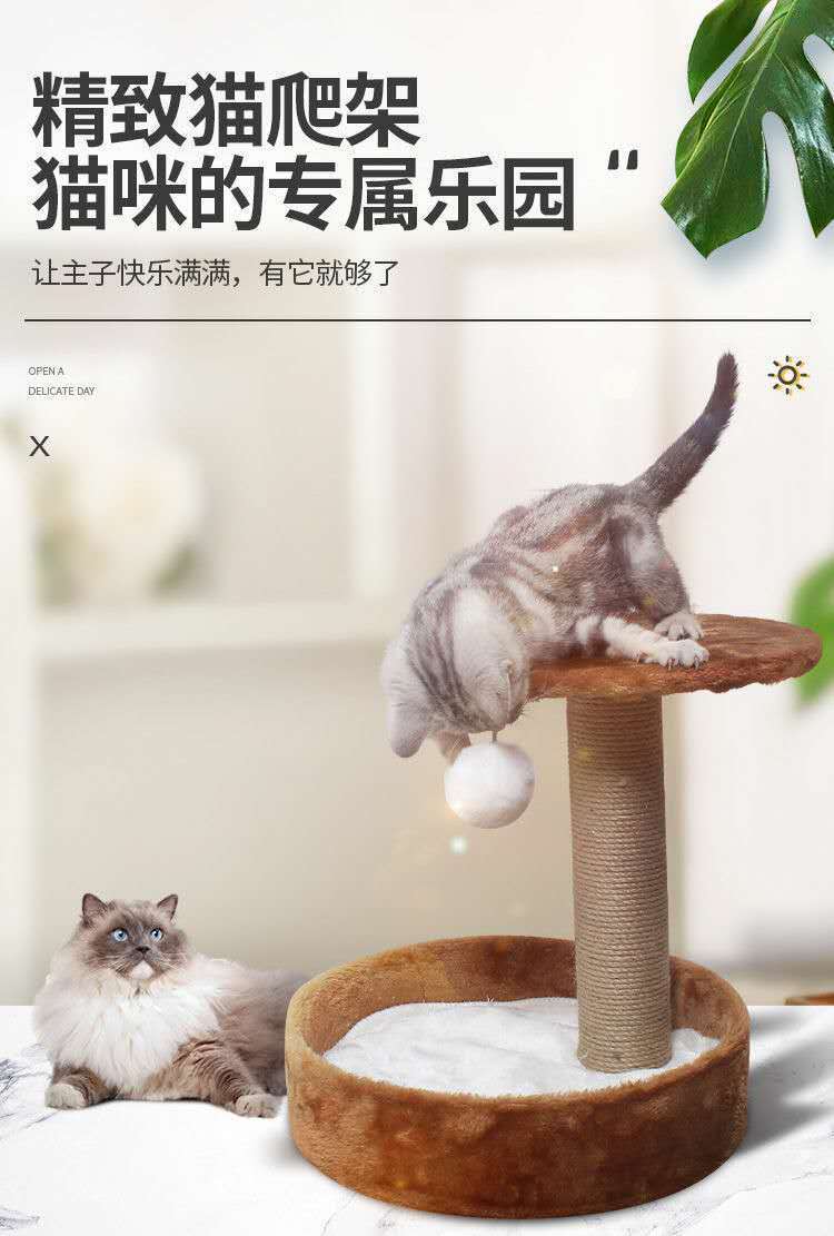 /O1CN01vhPWK71M2G2aD4mxc_!!2218793051376-0-cib.jpg