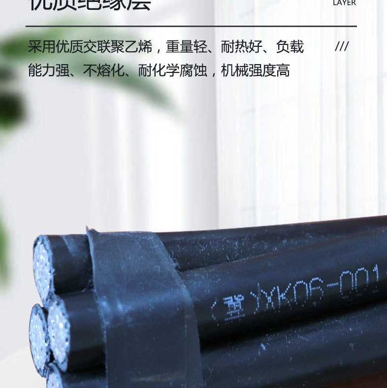 集束导线-详情_08.jpg