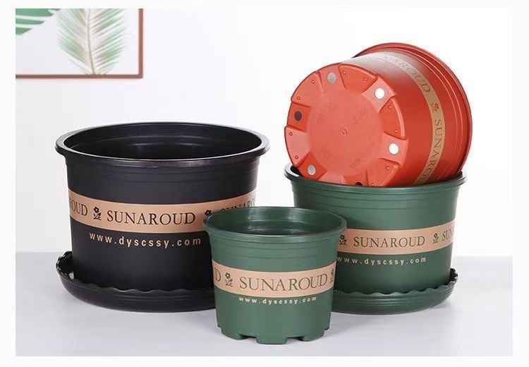 119c48b2-ae4b-44e4-bc3e-87c68873a6db.jpe