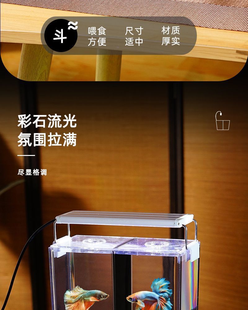 db56cb8b-b23e-4636-b0a3-b623f4419686.jpe