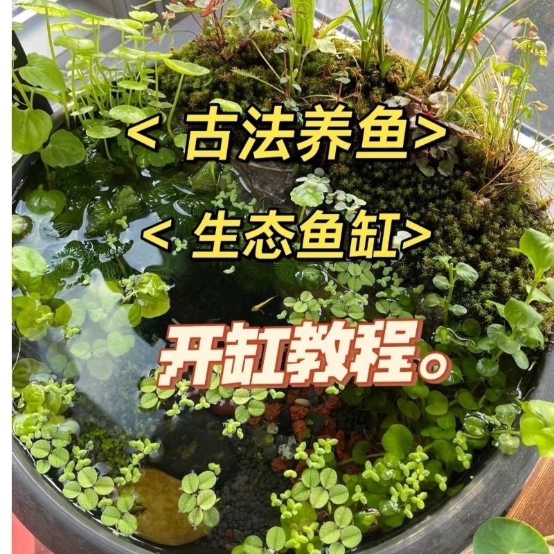 2a03b950-92d8-4804-a983-d159c4043b02.jpe