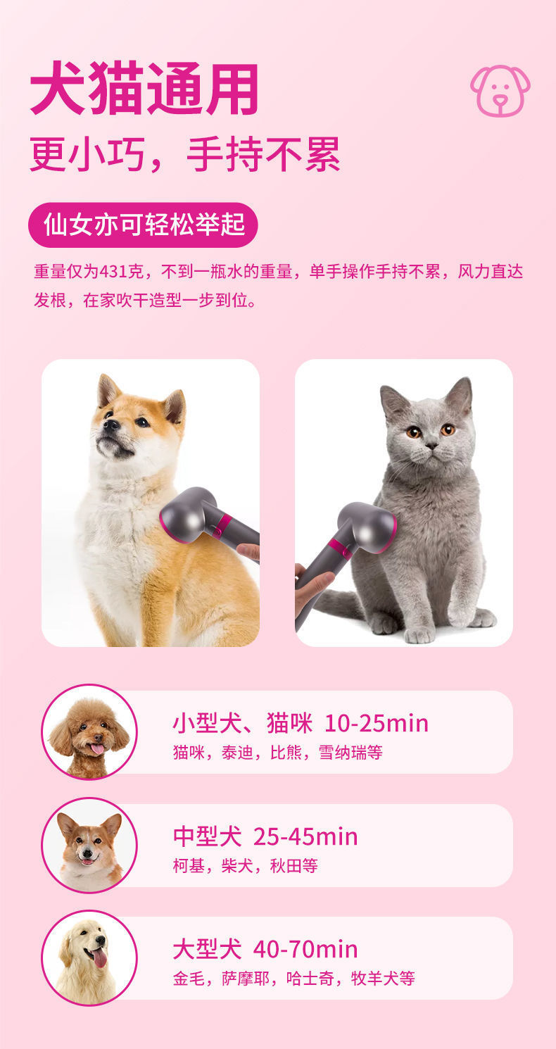 2c7e0234-cb0e-46f7-ad90-7f37dee42a98.jpe