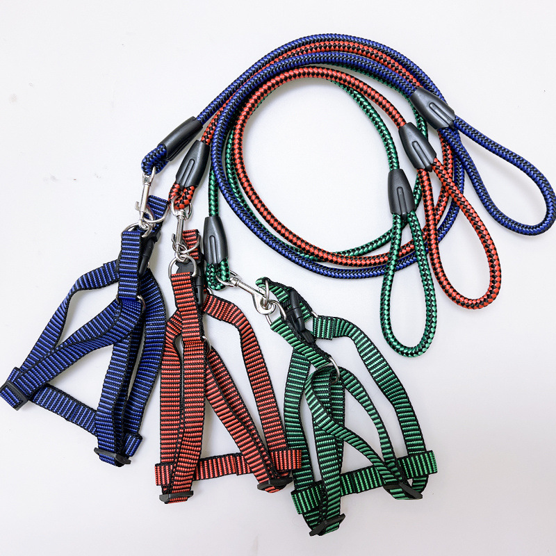 421d6ec3-afd9-4ed7-a6ea-d27ee35d0d46.jpe