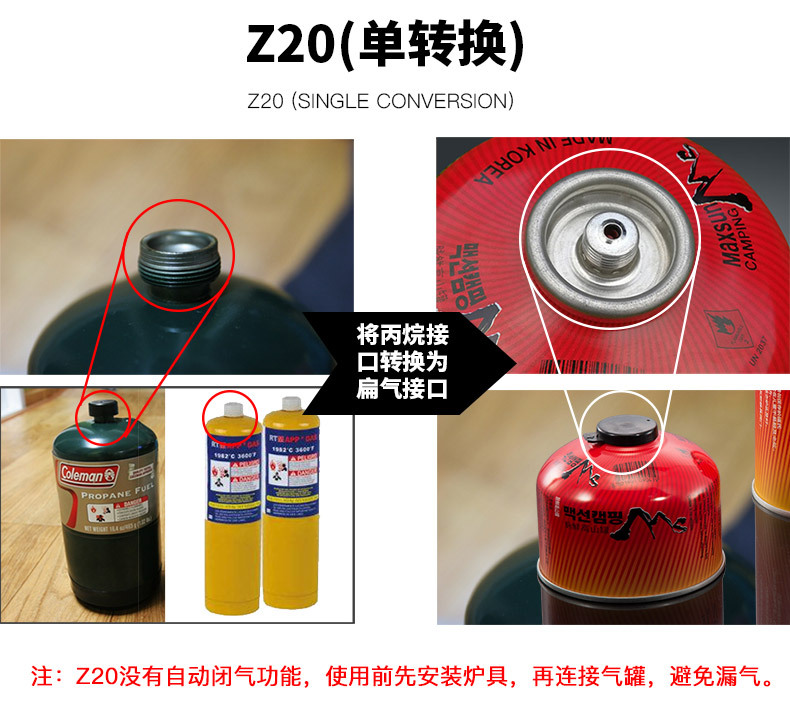 Z20_02.jpg