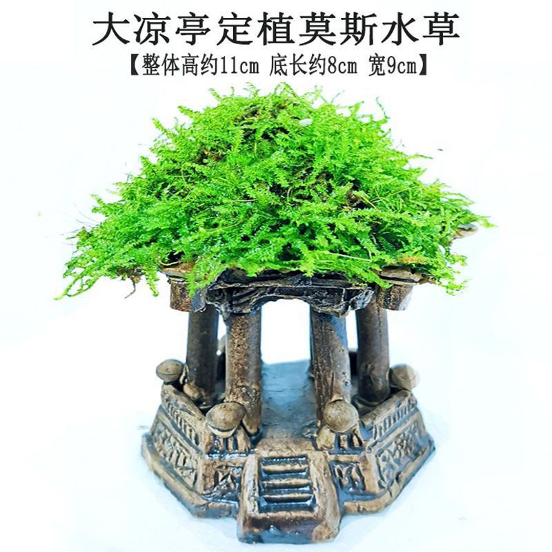 45a54769-7e7d-4fb9-b0be-83b1e2cc1ed4.jpe