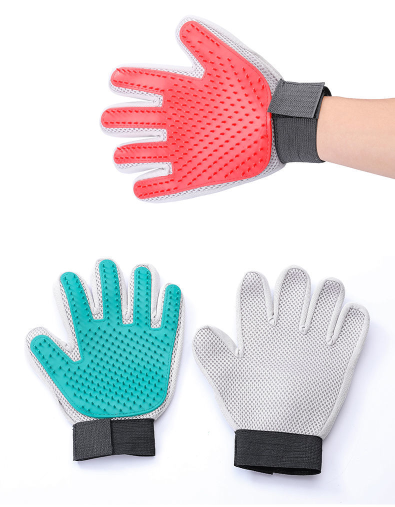 7e9e9811-cd2e-428d-ab9f-cbcabf9cc2aa.jpe