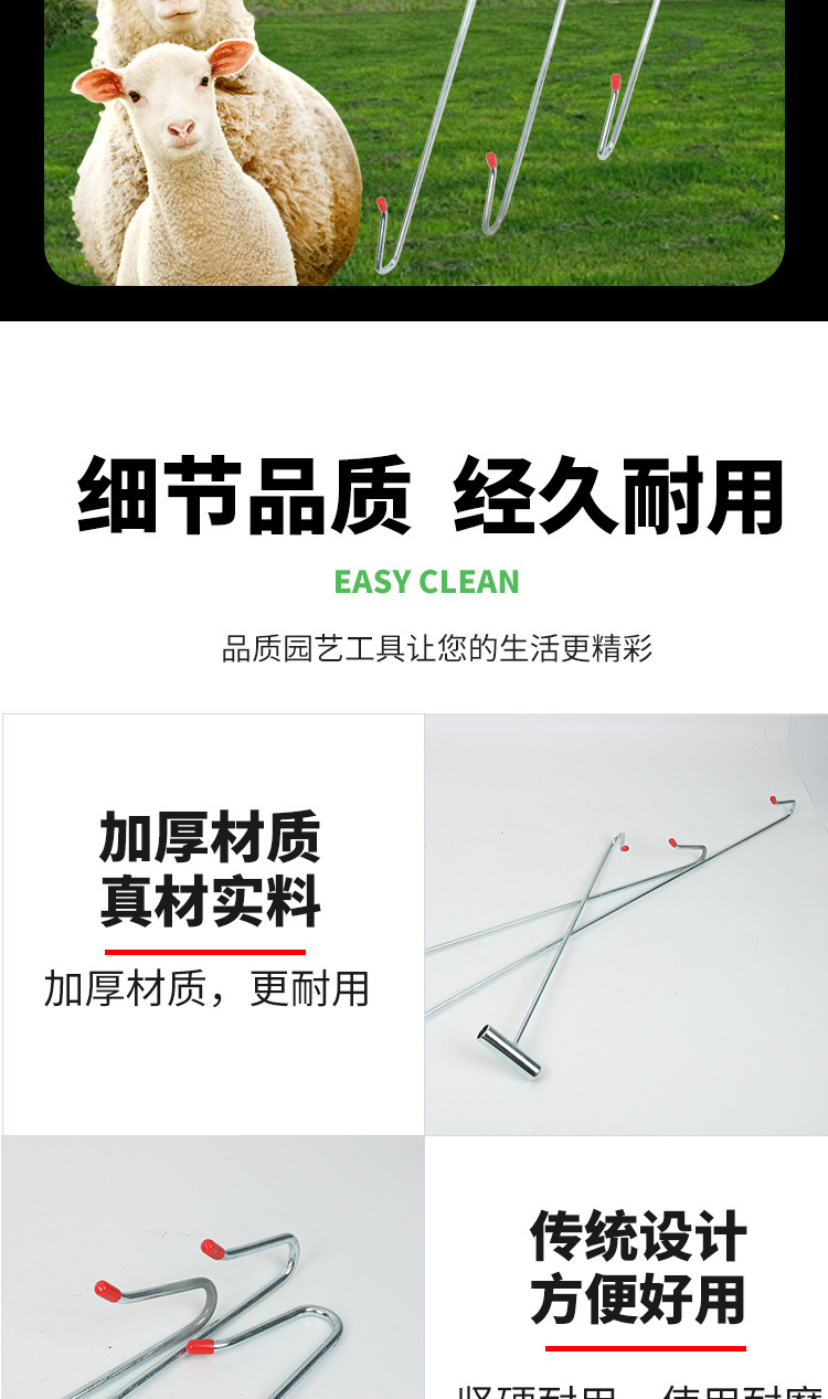 4cfcc2ba-16e2-4bad-a693-6385ba472144.jpe