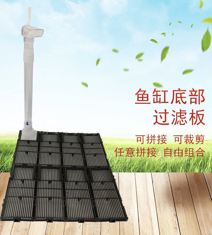 45ef98ba-b624-465e-8c3a-68afbac850fd.jpe