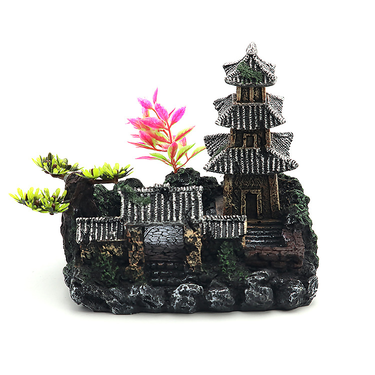 正面