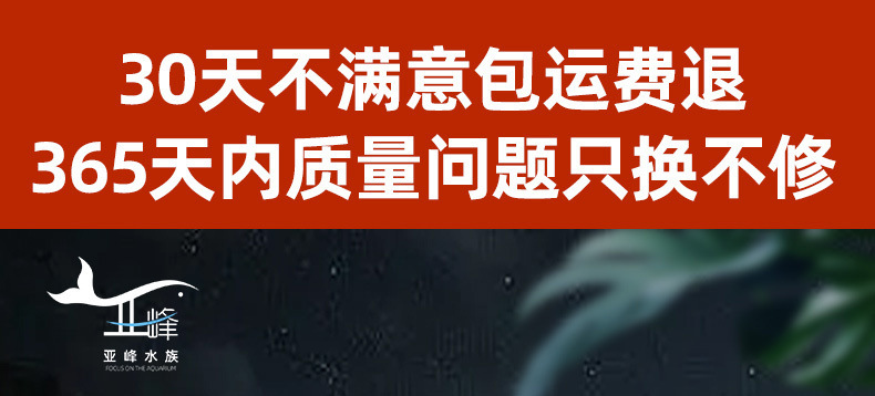 9e3237f4-a943-421a-b2e2-1995457ed196.jpe