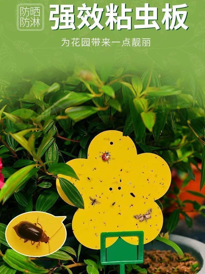 6085f064-fd2c-4403-a32d-8c58dbab9cfb.jpe
