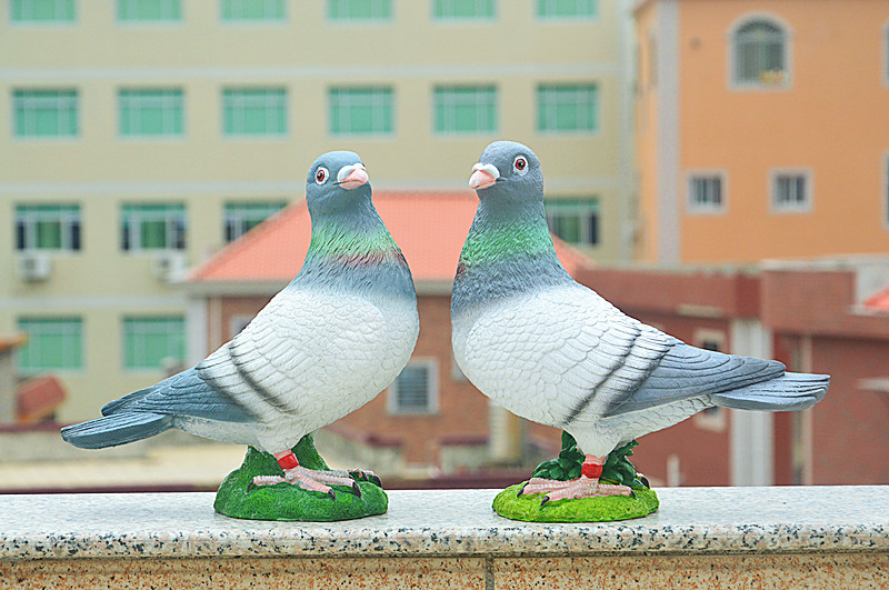 DSC_0032_副本.jpg