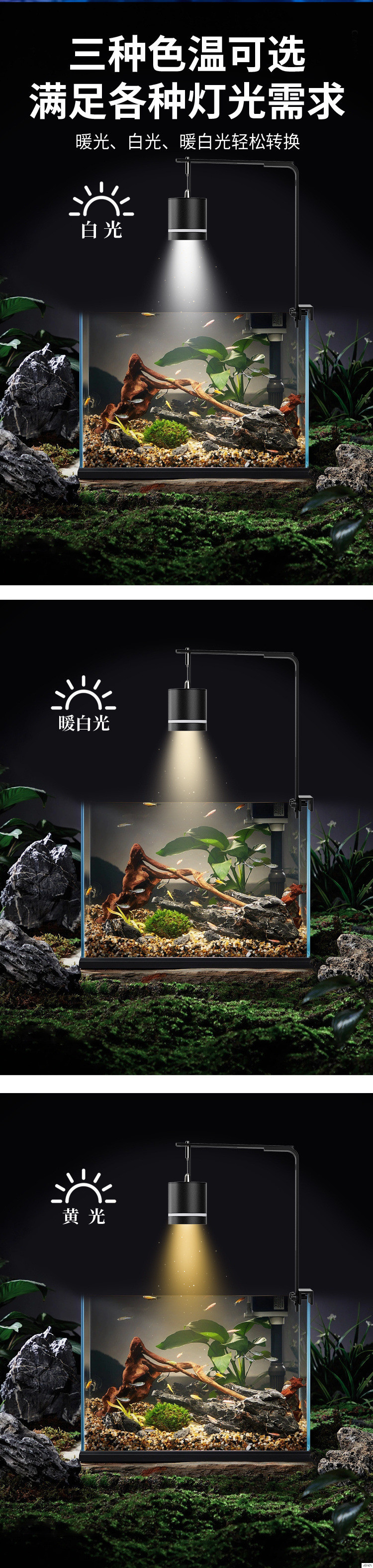 dcecdb2b-1f70-466d-a9d7-169483b91243.jpe