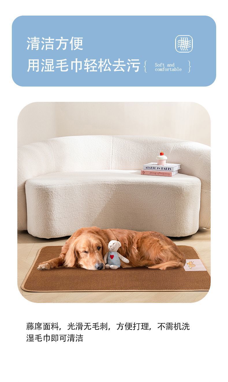 d56ae50d-2197-4d7d-a9d4-0b7e3f65550f.jpe