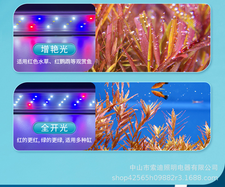 详情_04.jpg