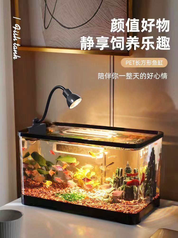 17c09c7b-73fa-468e-b2f5-11156ad8ca96.jpe