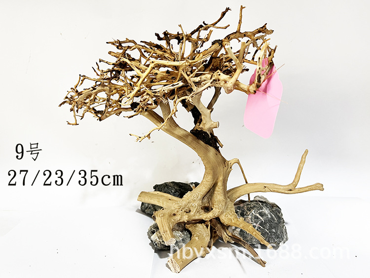  鱼缸景观沉木栖根景观缸造景全套莫斯树沉木黑壳虾斑马鱼缸景观木本