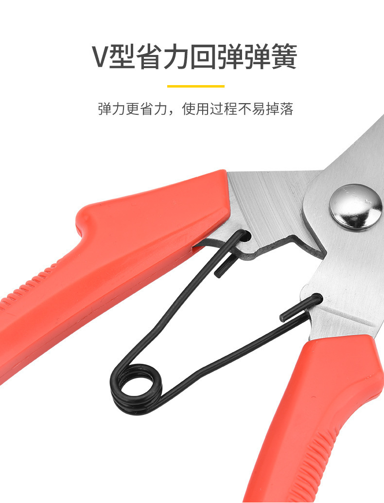 d6c7daff-27ea-48b8-95b2-5a58f8961747.jpe