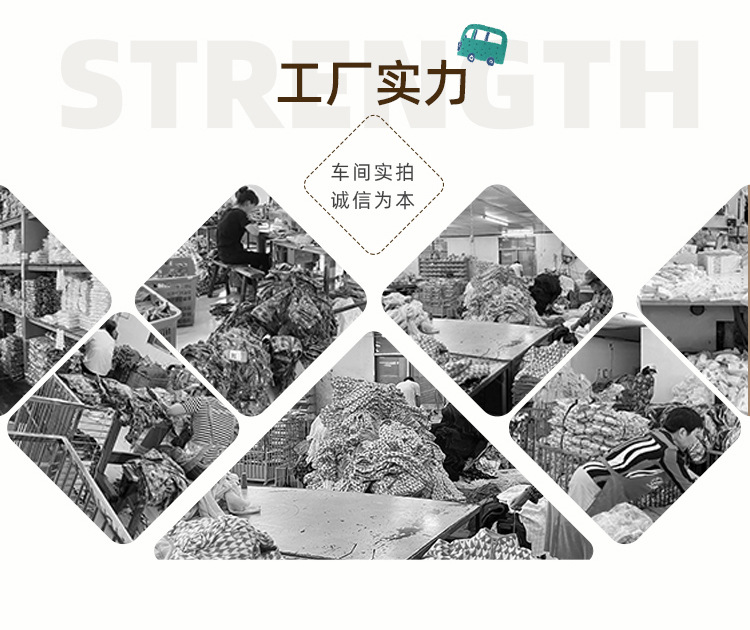灰蓝条恐龙_19.jpg